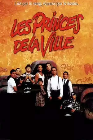 Jaquette du film Les Princes de la ville