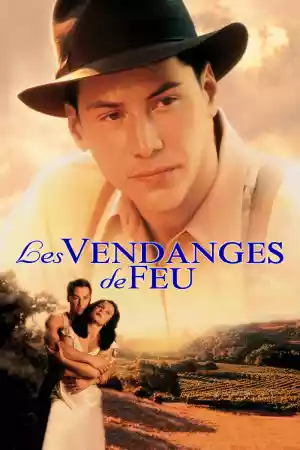 Jaquette du film Les vendanges de feu