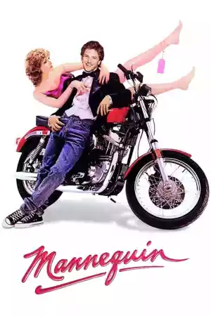 Jaquette du film Mannequin