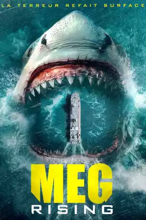 Jaquette du film Meg Rising