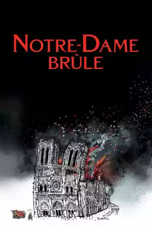 Jaquette du film Notre-Dame brûle