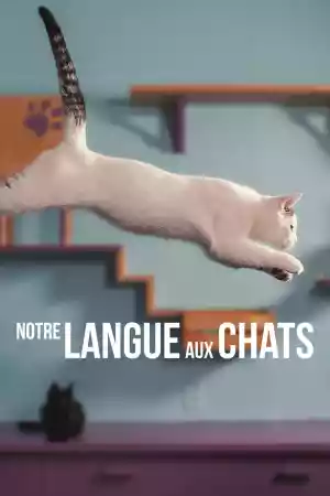 Jaquette du film Notre langue aux chats