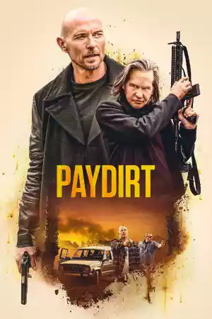 Jaquette du film Paydirt