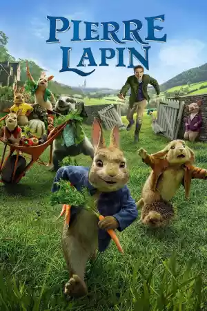 Jaquette du film Pierre Lapin