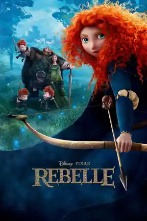 Jaquette du film Rebelle