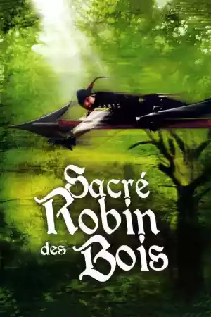 Jaquette du film Sacré Robin des bois