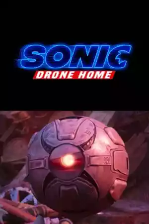 Jaquette du film Sonic Drone Home