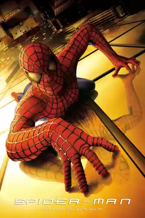 Jaquette du film Spider-Man