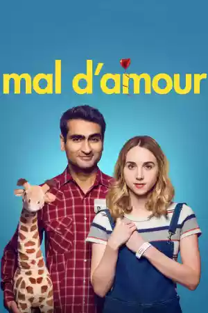 Jaquette du film The Big Sick