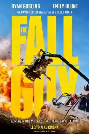 Jaquette du film The Fall Guy