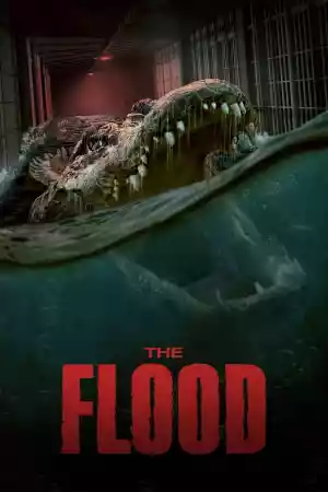 Jaquette du film The Flood