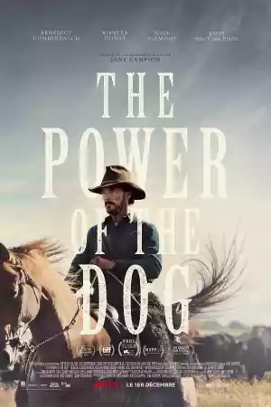 Jaquette du film The Power of the Dog