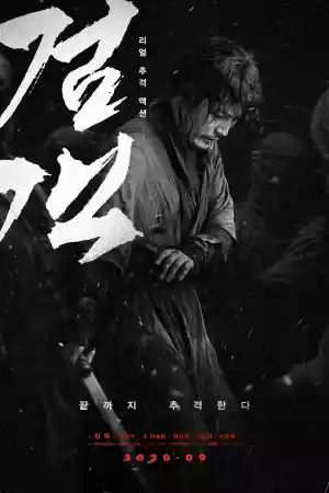 Jaquette du film The Swordsman