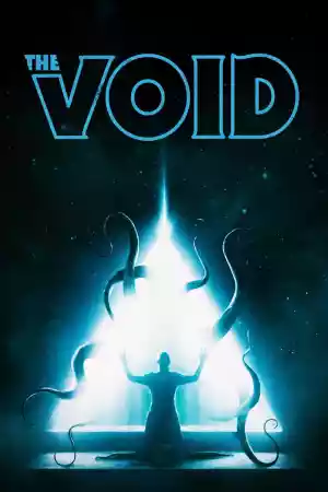 Jaquette du film The Void