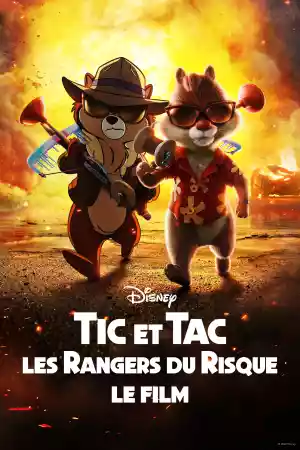 Jaquette du film Tic et Tac, les Rangers du Risque : le film