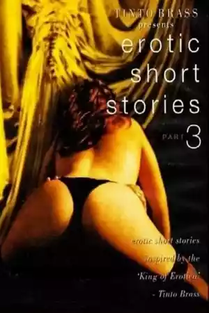 Jaquette du film Tinto Brass Presents Erotic Short Stories: Partie 3 - Tiens mes poignets serrés