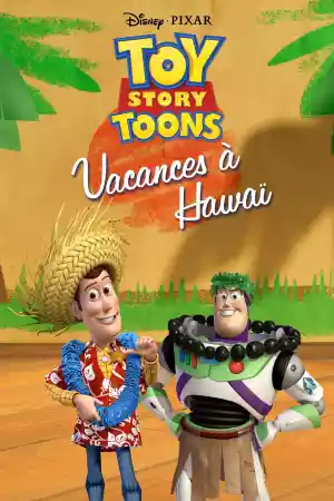 Jaquette du film Vacances à Hawaï