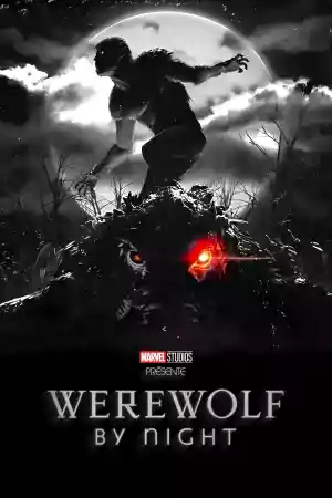 Jaquette du film Werewolf by Night