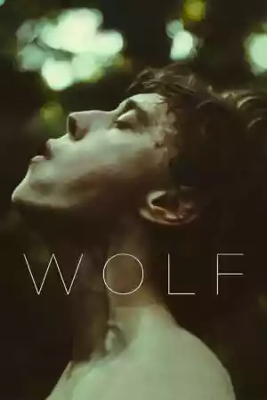 Jaquette du film Wolf