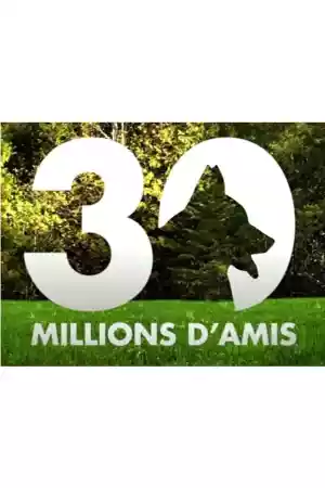 Jaquette du film 30 millions d'amis