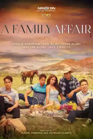 Jaquette du film A Family Affair