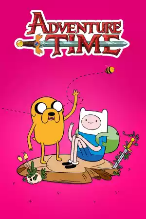 Jaquette du film Adventure Time