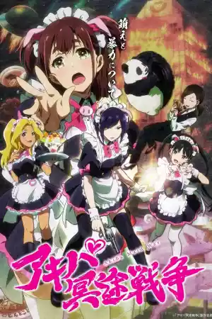 Jaquette du film Akiba Maid War