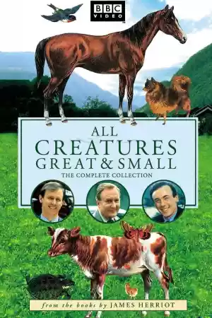 Jaquette du film All Creatures Great and Small