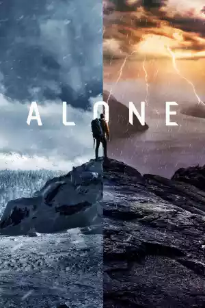 Jaquette du film Alone : les survivants