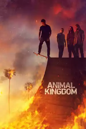 Jaquette du film Animal Kingdom