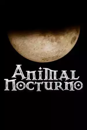 Jaquette du film Animal nocturno