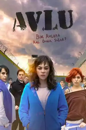 Jaquette du film Avlu