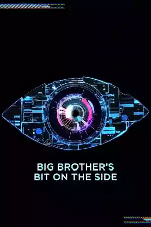 Jaquette du film Big Brother's Bit on the Side