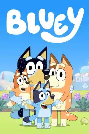 Jaquette du film Bluey