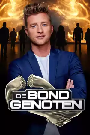 Jaquette du film De Bondgenoten