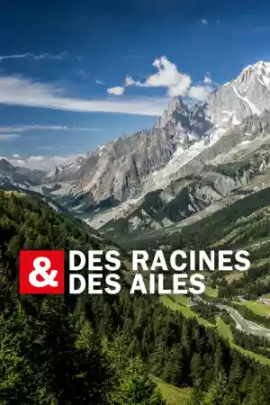 Jaquette du film Des racines & des ailes