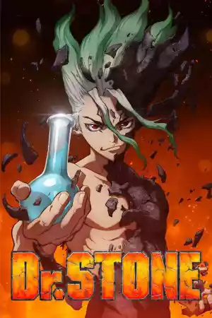 Jaquette du film Dr. STONE