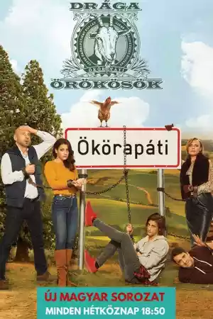 Jaquette du film Drága örökösök