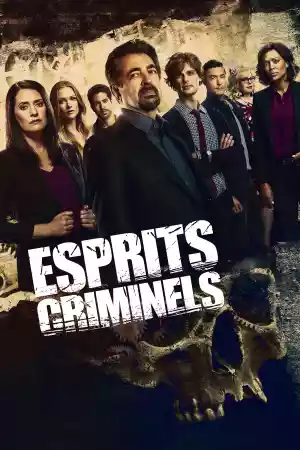 Jaquette du film Esprits criminels