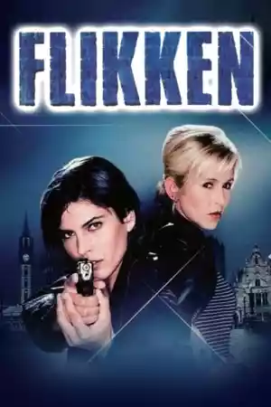 Jaquette du film Flikken