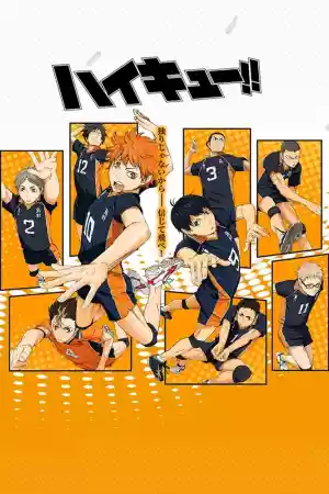 Jaquette du film Haikyu!!