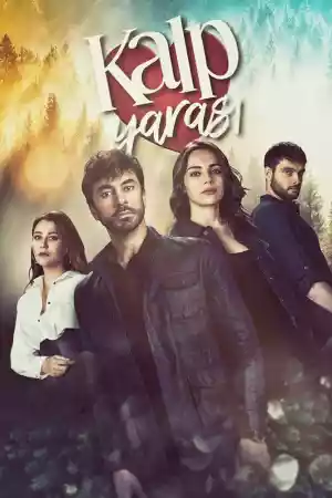 Jaquette du film Kalp Yarası