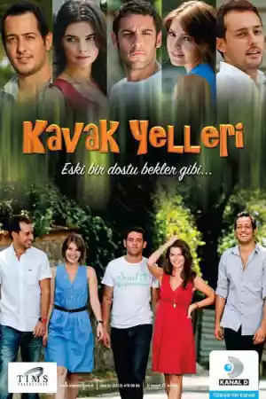 Jaquette du film Kavak Yelleri