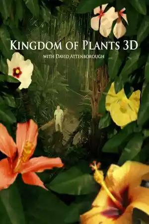 Jaquette du film Kingdom of Plants