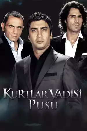 Jaquette du film Kurtlar Vadisi: Pusu