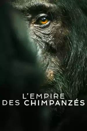 Jaquette du film L'Empire des chimpanzés