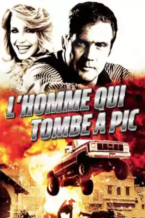 Jaquette du film L'homme qui tombe à pic