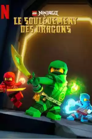 Jaquette du film LEGO Ninjago : Le soulèvement des dragons