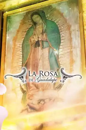 Jaquette du film La rosa de Guadalupe