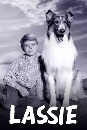 Jaquette du film Lassie